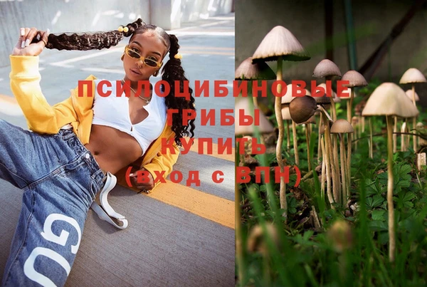 молекула духа Балабаново