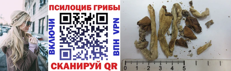 Псилоцибиновые грибы прущие грибы  сколько стоит  Верхняя Тура 
